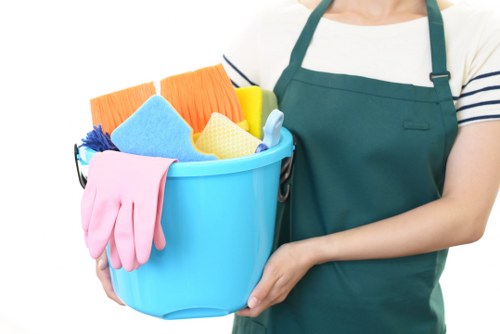Professional upholstery cleaning for a sofa in a Kentishtown home