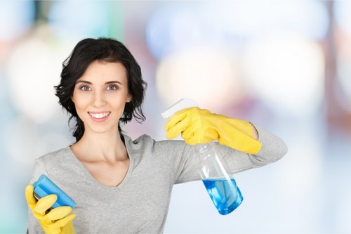 Detailed post-construction cleaning in a Kentishtown kitchen with fresh surfaces