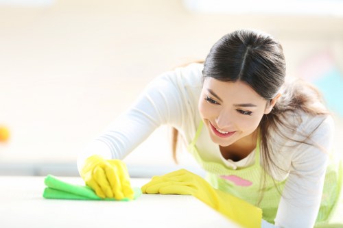 Professional cleaning for a furnished flat in Kentishtown
