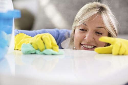 Detailed kitchen cleaning for a move-out in Kentishtown