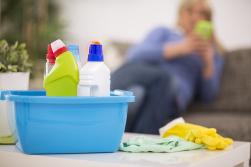 Local specialist cleaning upholstery affected by pet stains and smells
