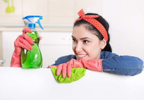 Kentishtown pet stain odour removal work in a residential property
